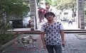 两只狗狗爱爱，这才是抢镜头的最高境界