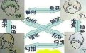 校园之前的爱恨情仇关系图