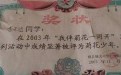 绽放吧，菊花少年！看来我已经落后新时代了