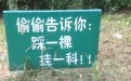 学校最狠的标语：不怕挂科就去踩
