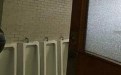 叫女人们如何上这个厕所