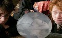 哈利波特你的水晶球能借我用一下吗?很黄的真人动态图 哈利波特你的水晶球能借我用一下吗?很黄的真人动态图