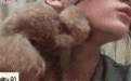 狗狗舔妹子脸，脸都红了
