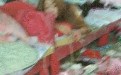 妹子生在花丛中死在垃圾中