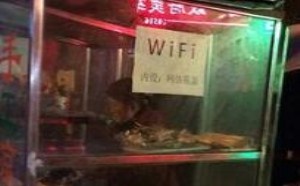 激情综合网偷拍自拍图片 卖豆皮也联wifi了