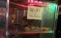 激情综合网偷拍自拍图片 卖豆皮也联wifi了 激情综合网偷拍自拍图片 卖豆皮也联wifi了