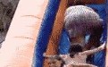 一个肥子后面的女人会怎么样