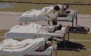 秒射的人会第一名西西人艺体图片动态