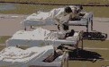秒射的人会第一名西西人艺体图片动态
