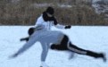 滑雪时男子偶遇美女快把持不住 摔了一个大马趴图片 滑雪时男子偶遇美女快把持不住 摔了一个大马趴图片