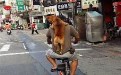 背着儿子去买它最爱吃的烤肠