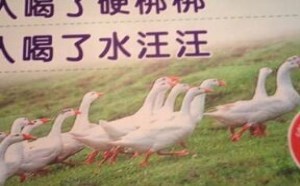 无节操鹅餐馆标语：男人喝了硬梆梆 女人喝了水汪汪