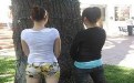 极品女人也学着男人们养树