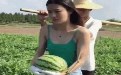 好好的家里不呆 叫你出来摘西瓜