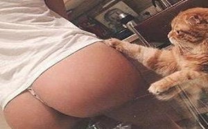 光屁屁美女被肥猫性侵视频