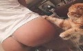 光屁屁美女被肥猫性侵视频