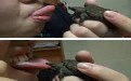 我和鳖有个亲密的舌吻