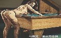 最痛恨姓马的人  骗钱骗人骗感情
