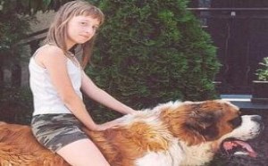 能当马骑的圣伯纳犬，美女骑在上面够威武的