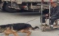 大爷真懂得享受 绝对绿色环保跑车搞笑图片