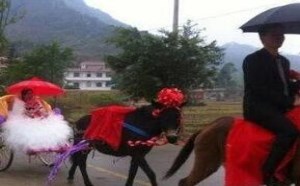 社会百态图片：娶个媳妇回家过年