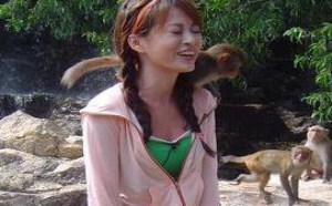 糗事百科图片：一群小猴子冲着美女耍流氓