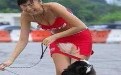 汪星人你让主人打死你的心都有啦