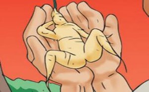 日本邪恶漫画：美到流口水的小仙女poss 姿势如此性感诱人