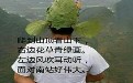 可惜哥子你的才华配不上你头顶上的帽子！