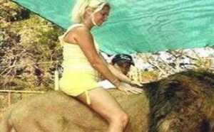 美女骑在野兽上面最疯狂的时刻