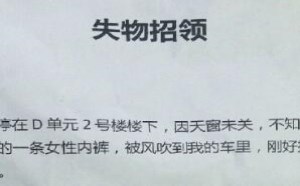 哪个女人的内裤掉进我车里引起老婆怀疑求认领