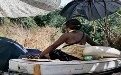 野战门事件：在意大利路边出卖肉体的非洲女人