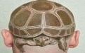 虽然这发型很酷，但是你甘愿做一只乌龟吗？