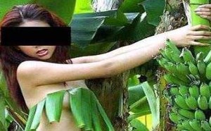 翘臀后进撸管图：绿色环保型香蕉美女