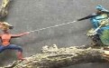 关羽与蜘蛛侠战斗，猜猜谁会赢？