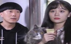 猫咪功劳大！单身狗换取美女芳心全靠它 2017_35期